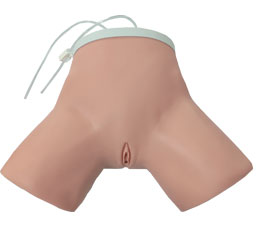 DM-NS6033 女性导尿模型